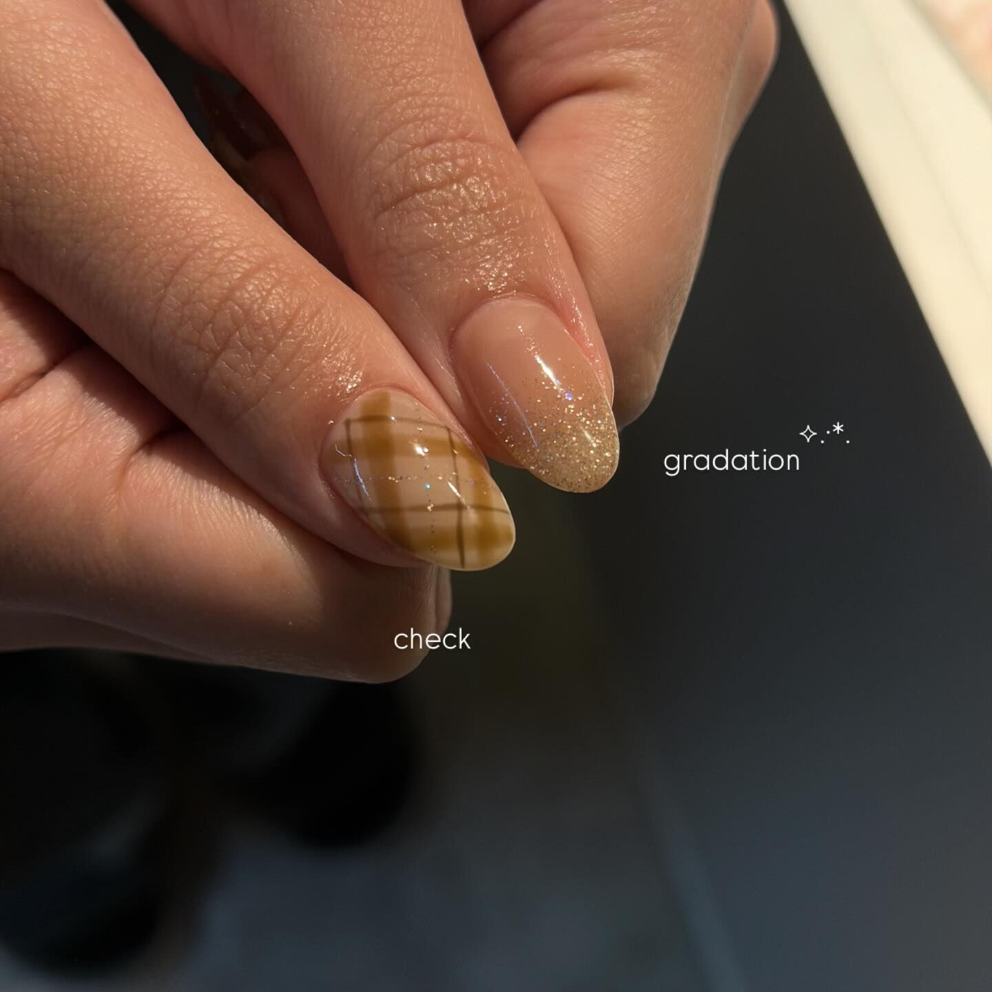 autumn design🍁‎⋆✴︎˚